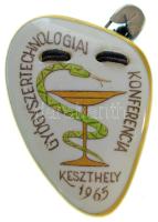1965. "Gyógyszertechnológiai Konferencia Keszthely" egyoldalas, jelzett Herendi porcelán emlékplakett (45x32mm) T:AU