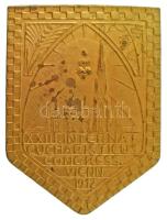 Ausztria 1912. "XXIII. Nemzetközi Eucharisztikus Kongresszus Bécs 1912" egyoldalas, bronz jelvény, "BRÜDER SCHNEIDER WIEN" gyártói jelzéssel (47x35mm) T:AU kis patina Austria 1912. "XXIII. INTERNAT. EUCHARISTICUS CONGRESS. VIENN 1912" one-sided, bronze badge, with "BRÜDER SCHNEIDER WIEN" maker's mark (47x35mm) C:AU small patina
