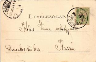 1902 Stószfürdő, Stoósz-fürdő, Kúpele Stós; Budapest és Dr. Czirfusz villák, nyaralók. Wlaszlovits G...