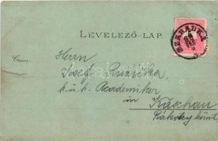 1898 Szabadka, Subotica; városháza, törvényszéki palota, templom, vasútállomás. Víg Zsig. Sándor kia...