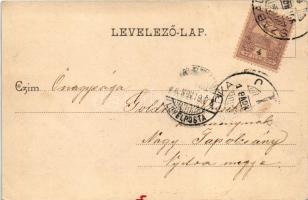 1900 Szabadka, Subotica; Honvéd emlékmű (Kaponyai csata emlékműve), Nemzeti Kaszinó. Heumann Mór kia...