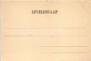 Szabadka, Subotica; Kossuth Lajos utca, park, villamos. Víg Zsigmond Sándor kiadása / street, park, ...