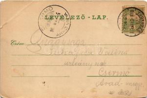 1903 Szabadka, Subotica; látkép / view (szakadás / tear)