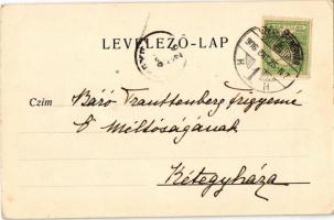 1906 Sárpentele, Sár-Pentele (Sárszentmihály); Széchenyi kúria, kastély, Kis-lak, templom. A képesla...