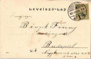 1905 Székesfehérvár (?), Máriamajor, kastély, kúria (EK)