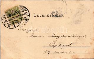 1904 Székesfehérvár, Megyeház, Vármegyeháza. Klökner Péter kiadása 72. sz. (fl)