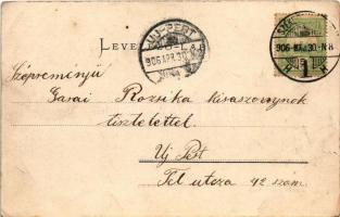 1906 Székesfehérvár, Zichy ligeti részlet. Eisler Adolf kiadása (EB)