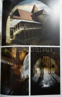 Gerald Axelrod: Transsylvanien. Im Reich von Dracula. Würzburg, 2009, Verlagshaus Würzburg. Gazdag k...