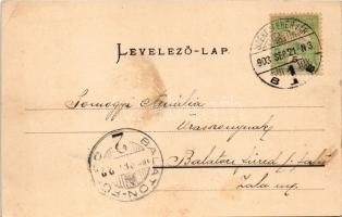 1903 Székesfehérvár, Vörösmarty szobor. Eisler Adolf kiadása (EB)