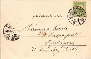 1904 Székesfehérvár, Ligetsor, Erzsébet Amália kir. hercegnő otthona. Eisler Adolf kiadása (fl)