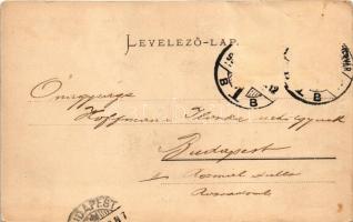 1902 Székesfehérvár, M. kir. áll. főreáliskola. Eisler Adolf kiadása (gyűrődés / crease)