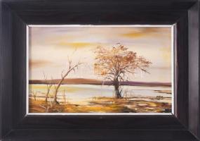 Varga Iván (1960-): Tisza. Olaj, farost, jelzett. Fakeretben, 19x30 cm