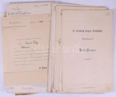 cca 1880-1930 Német állatorvos iratai: bizonyítványok, oklevelek, stb., vegyes állapotban