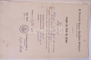 cca 1880-1930 Német állatorvos iratai: bizonyítványok, oklevelek, stb., vegyes állapotban