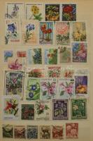 Virág motívum 570 db klf bélyeg közte sorok, önálló értékek, szelvényes bélyegek 10 lapos közepes be...