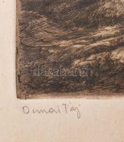 Görög Rezső (1930-?): Dunai táj. Rézkarc, papír, jelzett, lap széle kissé foltos, 28,5×39 cm