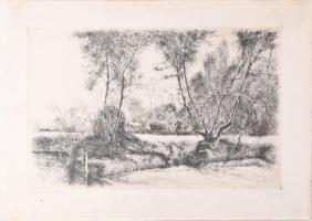 Varga Nándor Lajos (1895-1978): Patakparton. Rézkarc, papír, jelzett, kartonra kasírozva, lap széle kissé foltos, 24×38,5 cm