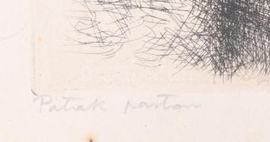 Varga Nándor Lajos (1895-1978): Patakparton. Rézkarc, papír, jelzett, kartonra kasírozva, lap széle ...