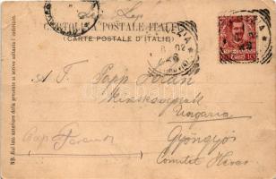 1902 Venezia, Venice; Panorama dal Campanile di S. Giorgio. Ferd. Gobbato / View from Campanile, chu...