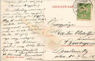 1912 Szliács, Sliac; Bristol szálloda. Molnár M. kiadása / spa hotel (Rb)