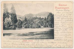 1907 Nagybánya, Baia Mare; Ligeti részlet, teniszpálya. Rózsa Simon kiadása / park, tennis court (b)