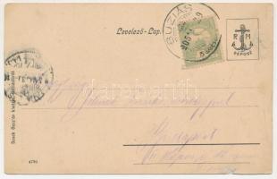 1905 Buziásfürdő, Baile Buzias; Szent Antal csodakút a tóval. Nosek Gusztáv kiadása / mineral spring...