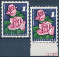 1972 Rózsakiállítás 1Ft alul fehér csík, a zöld szín felfelé tolódott + támpéldány