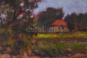 Sz. Csapó Márton (1889-?): Vándor a vízparton, 1930 körül. Olaj, falemez. Jelezve jobbra lent. Hátol...