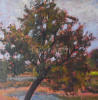 Sz. Csapó Márton (1889-?): Vándor a vízparton, 1930 körül. Olaj, falemez. Jelezve jobbra lent. Hátol...