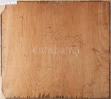 Sz. Csapó Márton (1889-?): Vándor a vízparton, 1930 körül. Olaj, falemez. Jelezve jobbra lent. Hátol...