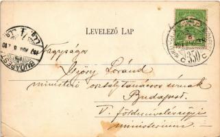 1907 Gödöllő, Gizella fürdő uszodája, fürdőzők + "KIRÁLYHÁZA - MISKOLCZ - BUDAPEST 350 C" ...