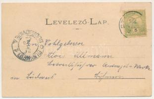 1906 Stájerlak, Steierlak, Stájerlakanina, Steierdorf, Anina; látkép. Hollschütz kiadása / general v...