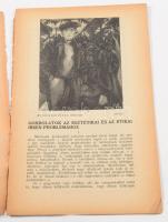 1922 Magyar Írás. Az új művészet folyóirata. Szerkeszti és kiadja: Raith Tivadar. II. évf. Teljes év...