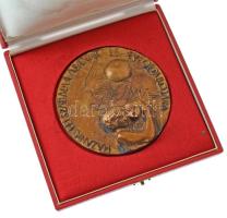 1970. "Hazánk felszabadulásának 25. évfordulójára" egyoldalas, öntött bronz emlékplakett eredeti tokban (97mm) T:AU