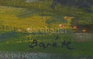 Baráth jelzéssel: Táj. Olaj, vászon, fakeretben. 39×48 cm