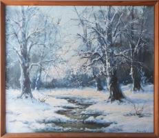 Baráth jelzéssel: Téli táj. Olaj, vászon, fakeretben. 50×60 cm