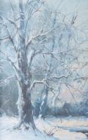 Baráth jelzéssel: Téli táj. Olaj, vászon, fakeretben. 50×60 cm