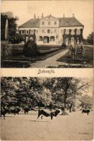 Dénesfa, Gróf Cziráky kastély, szarvasmarhák a legelőn. Kiadja P. Ledermann, Wien 12480-1917. (fl)
