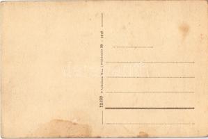 Dénesfa, Gróf Cziráky kastély, szarvasmarhák a legelőn. Kiadja P. Ledermann, Wien 12480-1917. (fl)