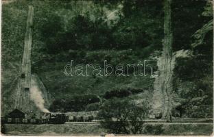 Dömös, Zebegényi vasút, sikló, iparvasút, gőzmozdony. Fogyasztási szövetkezet kiadása (gyűrődés / crease)