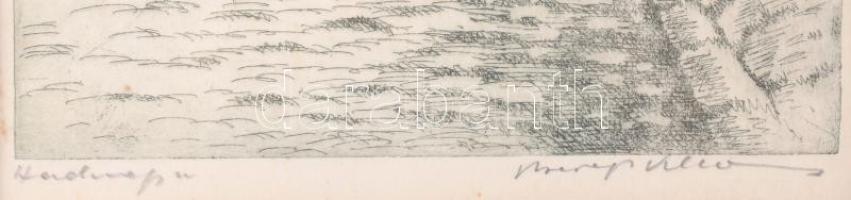 Beregi Vilmos (1917-1970): Tabán, Hadnagy utca. Rézkarc, papír, jelzett. Apró foltokkal. Üvegezett f...