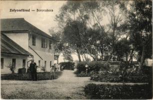 1916 Zólyom, Zvolen; Zólyomfüred (Füred), Boróka-erdő kastély. Melchiory Ferenc kiadása / Borováhora (Borová hora) / spa, forest, castle (fa)