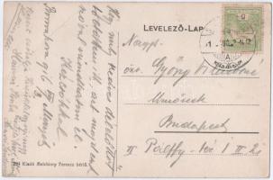 1916 Zólyom, Zvolen; Zólyomfüred (Füred), Boróka-erdő kastély. Melchiory Ferenc kiadása / Borováhora...