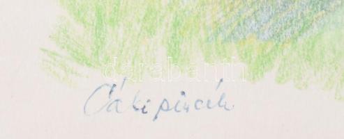 Csányi Béla (-): Cáki pincék, 1979. Színes ceruza, papír. Jelzett. Üvegezett fakeretben, 21,5x30,5 c...