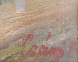 Csányi Béla (-): Utcarészlet. Olaj, papír. Jelzett. Üvegezett fakeretben, 30,5x44 cm