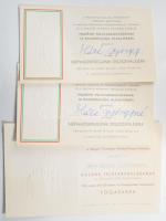 Paál Jób - Radó Antal (szerk.): A debreceni feltámadás. Krónikás könyv a demokratikus új Magyarorszá...