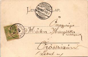 1904 Mezőhegyes, Lovarda, Ménesparancsnokság. Auspitz Adolf kiadása. Art Nouveau, floral (felületi s...