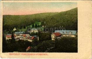 1909 Feketehegy-fürdő, Feketehegy, Schwartzenberg, Cernohorské kúpele (Merény, Vondrisel, Nálepkovo); látkép, villák / general view, villas (EB)