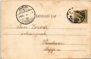 1905 Szarvas, Városi fürdő. Sámuel Adolf kiadása (fl)