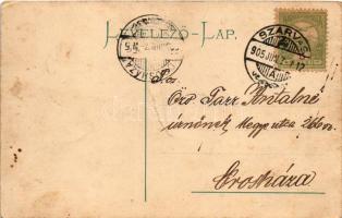 1905 Szarvas, Árpád szálloda, Evangélikus főgimnázium, Erzsébetligeti pavilon, Városi fürdő. Schlesi...